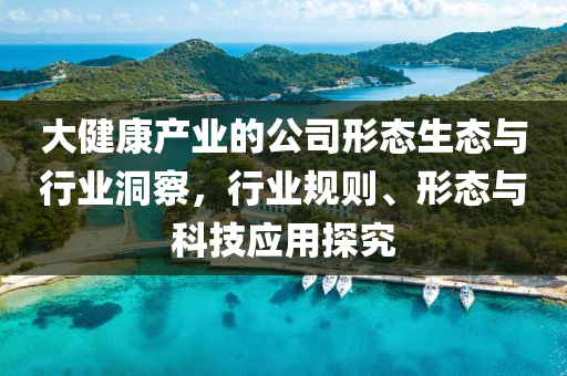 大健康產(chǎn)業(yè)的公司形態(tài)生態(tài)與行業(yè)洞察，行業(yè)規(guī)則、形態(tài)與科技應(yīng)用探究